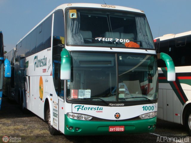 Floresta Turismo 1000 na cidade de São Paulo, São Paulo, Brasil, por Antonio Carlos Pangardi. Número da foto: #166837.