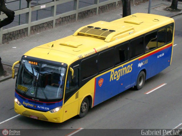 Auto Viação Reginas RJ 110.236 na cidade de Rio de Janeiro, Rio de Janeiro, Brasil, por Gabriel Peclat. Número da foto: #169849.
