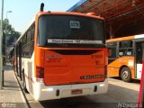 TRANSPPASS - Transporte de Passageiros 8 1665 na cidade de São Paulo, São Paulo, Brasil, por Antonio Carlos Pangardi. Número da foto: #:id.
