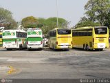 Cia. São Geraldo de Viação 14710 na cidade de São Paulo, São Paulo, Brasil, por Nerilton F.  ônibus. Número da foto: #188864.