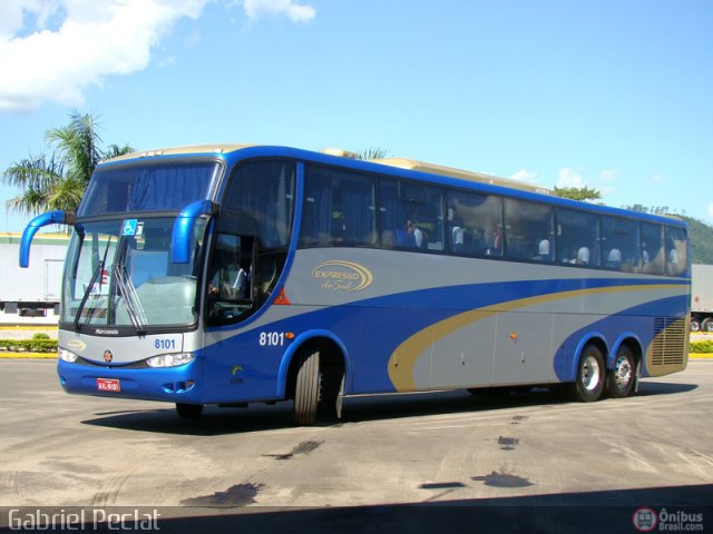 Expresso do Sul 8101 na cidade de Roseira, São Paulo, Brasil, por Gabriel Peclat. Número da foto: #173641.
