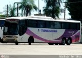 Transbrasiliana Transportes e Turismo 50059 na cidade de Goiânia, Goiás, Brasil, por Wallison Ferreira. Número da foto: #:id.