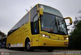 Viação Itapemirim 49009 na cidade de São Paulo, São Paulo, Brasil, por EDUARDO - SOROCABUS. Número da foto: #198492.