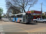 TCCC - Transporte Coletivo Cidade Canção 5904 na cidade de Maringá, Paraná, Brasil, por André Nordeste. Número da foto: #:id.