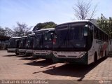 Empresa de Transportes Andorinha 5273 na cidade de Presidente Prudente, São Paulo, Brasil, por Thainan de França Barbosa. Número da foto: #:id.
