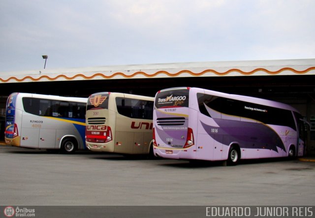 TransMargoo 1016 na cidade de Aparecida, São Paulo, Brasil, por EDUARDO - SOROCABUS. ID da foto: 205035.