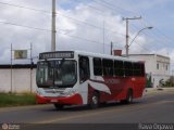 Viação Vitória 8025 na cidade de Vitória da Conquista, Bahia, Brasil, por Antonio Carlos Pangardi. Número da foto: #205304.