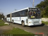 Transcal Sul Transportes Coletivos 24399 na cidade de Cachoeirinha, Rio Grande do Sul, Brasil, por Alexsandro Merci    ®. Número da foto: #:id.